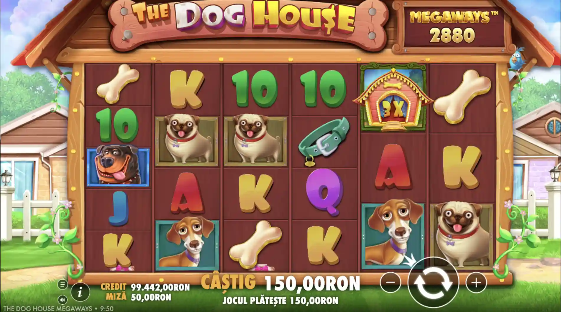 The Dog House Megaways – secventa din joc cu simboluri câini, oase și wild (căsuță) cu multiplicator 3×, câștig 150 RON afișat